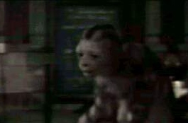 Professor McGonagall in her feline form.